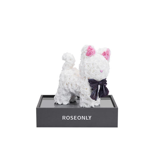 ROSEONLY诺誓 高端定制 永生玫瑰 公仔系列 玫瑰嘻嘻猫 送朋友 商品图3