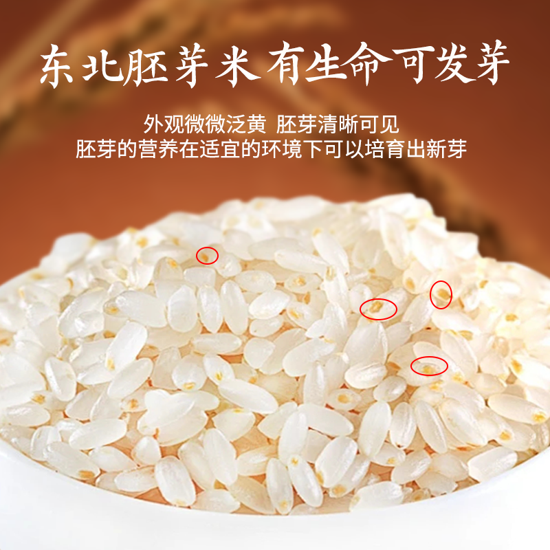 拓高 东铁村东北黑土地鲜活胚芽米5kg/袋【周日不发货】