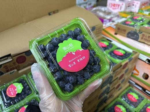 ✨必入推荐！雪山恬 L25品种蓝莓，直径12+颗粒不大，但颗颗纯甜爽脆，满满香！ 商品图3
