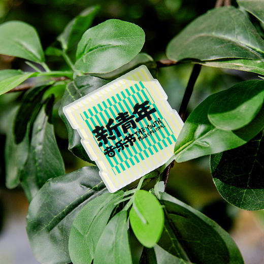 【预售-4月25日发货】新青年音乐节 亚克力冰箱贴 商品图1