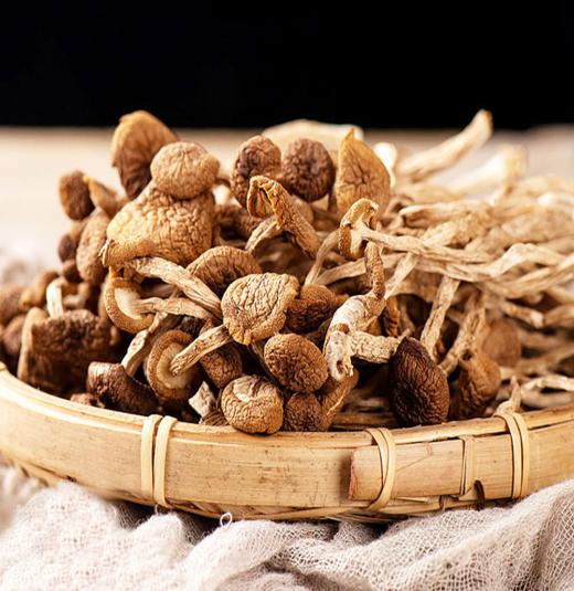 精品茶树菇125g 商品图0