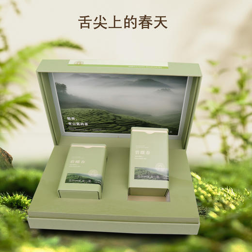 【直送到家】180g荆川茶晏2025年碧螺春（明前一级） 商品图1