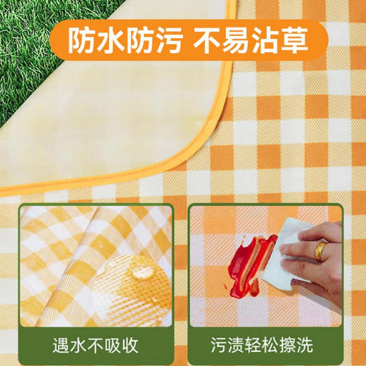 华小贝 户外郊游露营野餐垫加厚防水防潮便携出游草坪垫子 商品图1