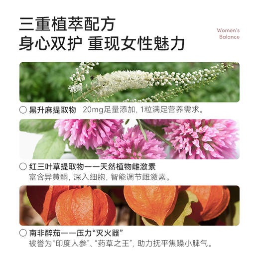 ²【MT新西兰进口复合女性平衡胶囊】黑升麻提取物20mg+红三叶草提取物400mg+异黄酮10mg+南非醉茄8.33mg HM02-CRMM-YYSJ 商品图3