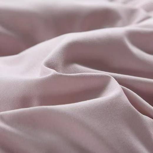 【恐龙厅】B7 丨F恐龙柔赛丝95%白鹅绒被四季 商品图3