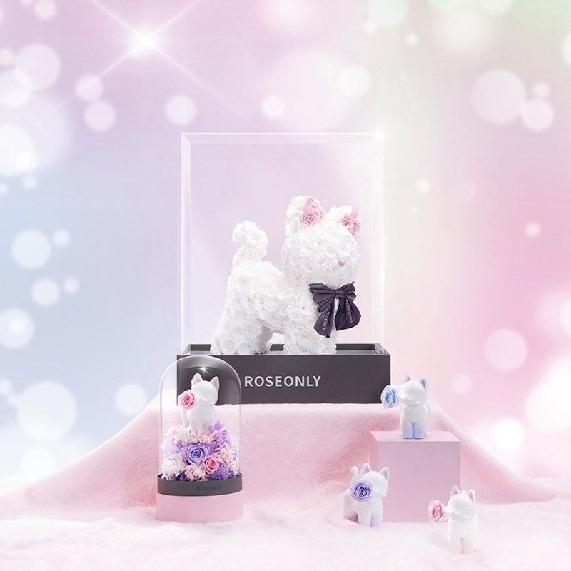 ROSEONLY诺誓 高端定制 永生玫瑰 公仔系列 玫瑰嘻嘻猫 送朋友