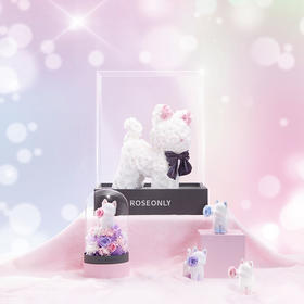 ROSEONLY诺誓 高端定制 永生玫瑰 公仔系列 玫瑰嘻嘻猫 送朋友