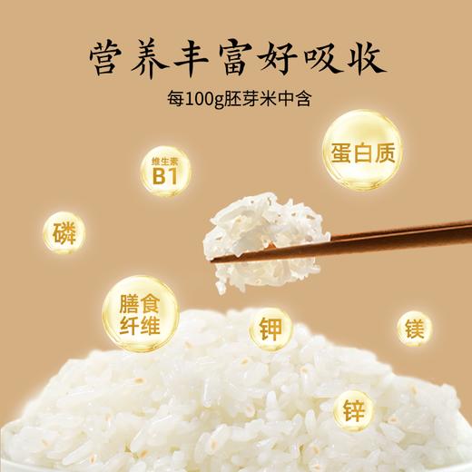 拓高 东铁村东北黑土地鲜活胚芽米5kg/袋【周日不发货】 商品图2
