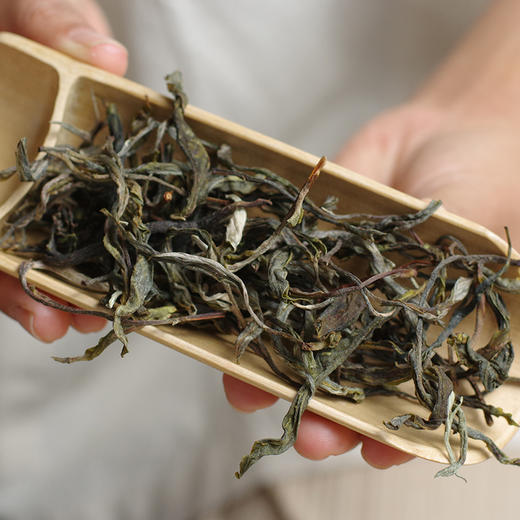 【春茶季】2026年贺开头春古树纯料散茶50克罐装 商品图1