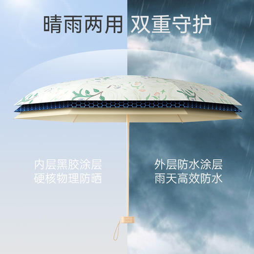 ZUODU左都博物馆插画防晒伞 商品图4