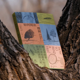 普世之经典，人生必读数，陀氏创作生涯巅峰之作！