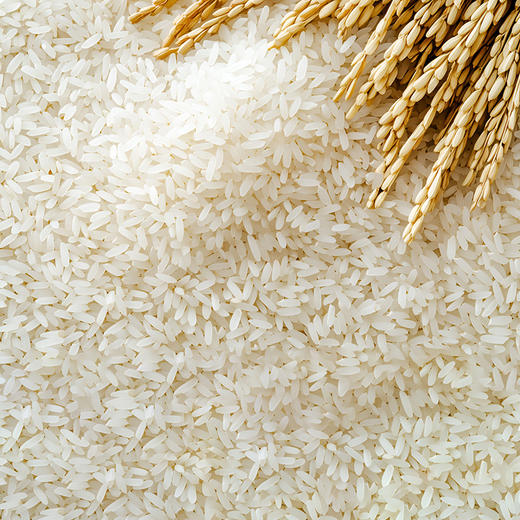 福临门自然香五常大米(原绿稻花香)5kg 商品图3