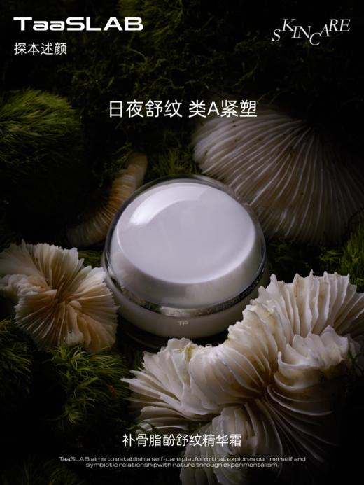 【重磅新品】lkc探本述颜TP补骨脂酚舒纹精华霜 补玻升维 紧塑充盈 50ml 商品图1