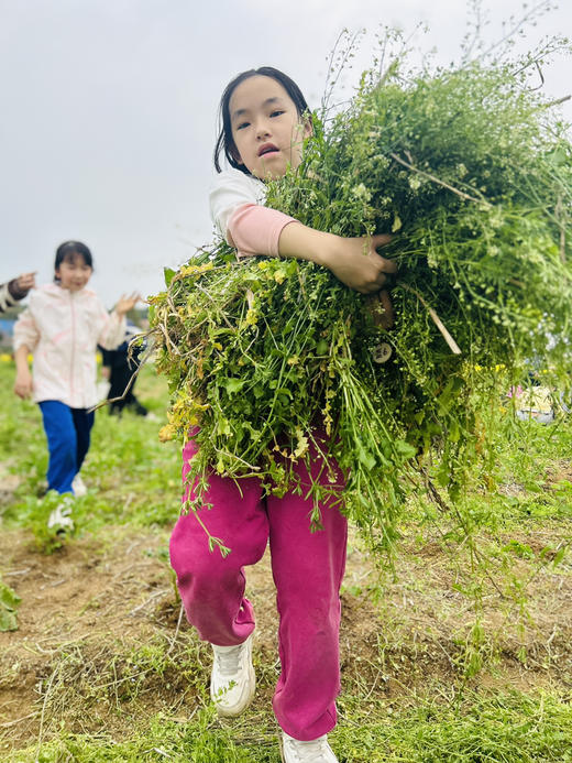 五一招募 | 3天2晚 土窑建造美食营 商品图3
