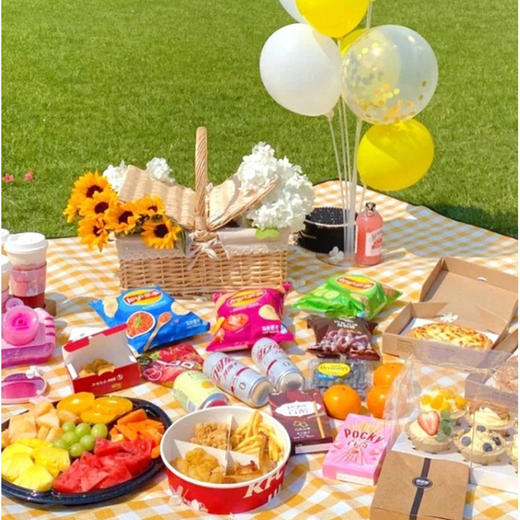 华小贝 户外郊游露营野餐垫加厚防水防潮便携出游草坪垫子 商品图2