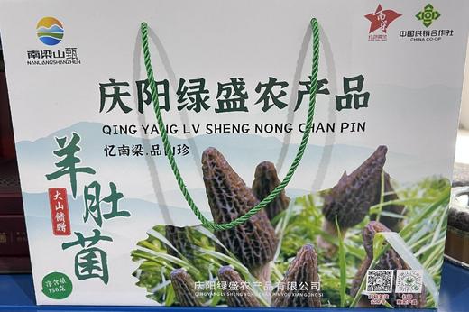 子午岭野生羊肚菌-纸礼盒250g 商品图0