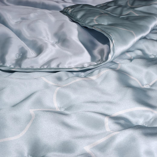 伽罗 JALO 5A级桑蚕丝可水洗休闲被夏凉被 商品图2