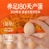 探寻初味-正宗谷饲黑鸡鸡蛋 商品缩略图1