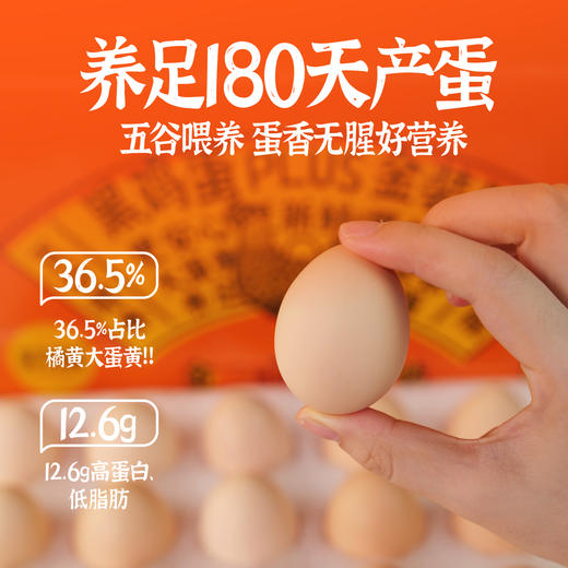 探寻初味-正宗谷饲黑鸡鸡蛋 商品图1