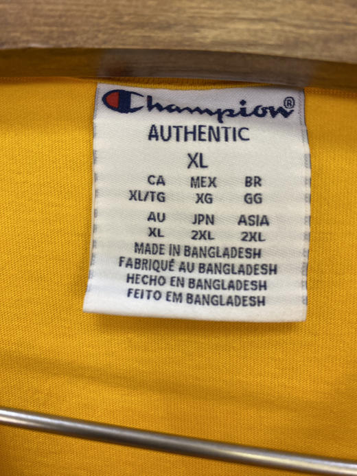 Champion 冠军 全刺绣 短袖T恤 _SST(XL) 商品图2