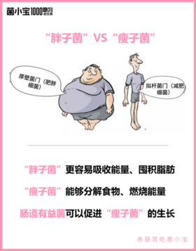 你胖可能因为「菌队」站错队！一招调节肠道菌群瘦身法