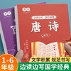 【扫码跟读】国学经典硬笔字帖边读边写每日一练论语三字经弟子规百家姓边读边写注音描红本唐诗千字文方正楷书练字帖 商品缩略图2