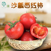 【产地直发❗️沙瓤西红柿】细腻清甜 肥厚多汁 酸甜适口 自然生长 营养健康 不一样的西红柿 你值得一尝露天自然熟非普罗旺斯L 商品缩略图0