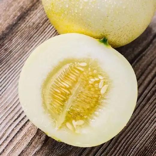 【清甜多汁❗️云南郁金香小甜瓜】 香甜如蜜 脆甜多汁 脆甜多汁 果香四溢 难挡的味蕾诱惑！新鲜水果 清新香甜瓜L 商品图3
