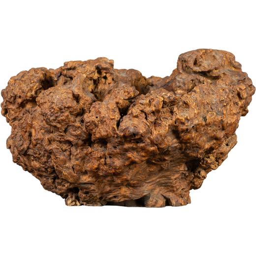 清 瘿木树瘤聚宝盆 商品图5