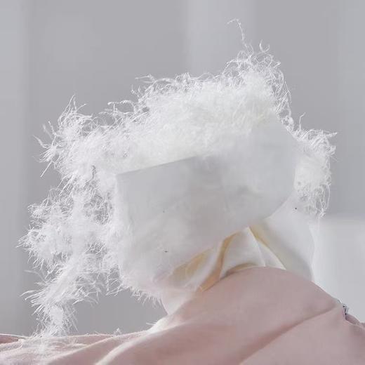 【恐龙厅】B7 丨F恐龙柔赛丝95%白鹅绒被四季 商品图2