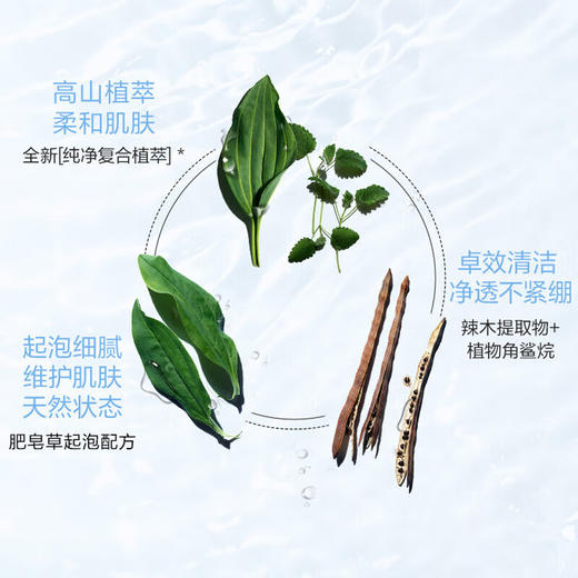 【保税仓】娇韵诗粉色乳木果洁面125ml/支（效期26.6月） 商品图3
