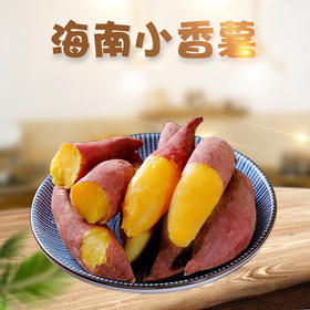 【分仓直发包邮】海南小香薯1斤装（单果：40-80g）