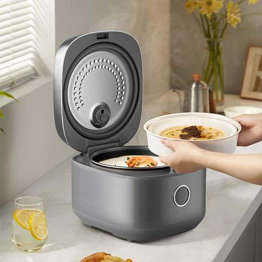 小熊（Bear）4L抗菌彩钢电饭煲 DFB-D40X5 商品图1