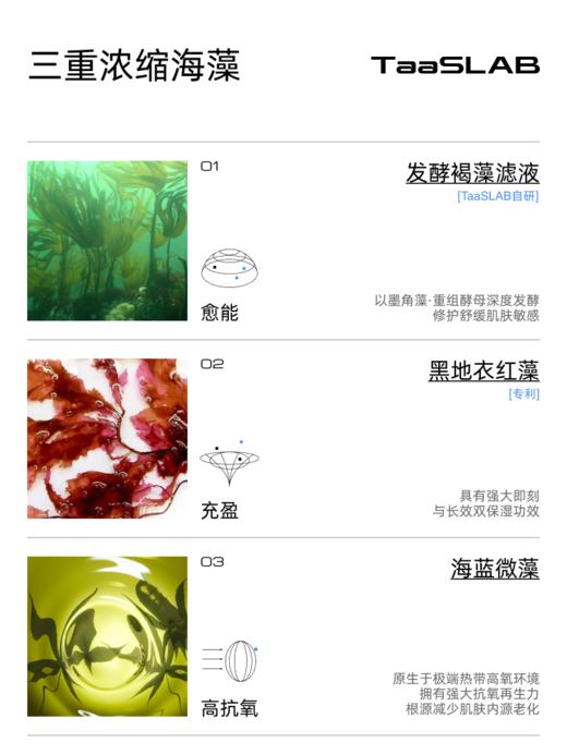 【重磅新品】lkc探本述颜舒缓海藻多肽精华乳S1 敏肌修护保湿抗皱抚纹 30ml 商品图2