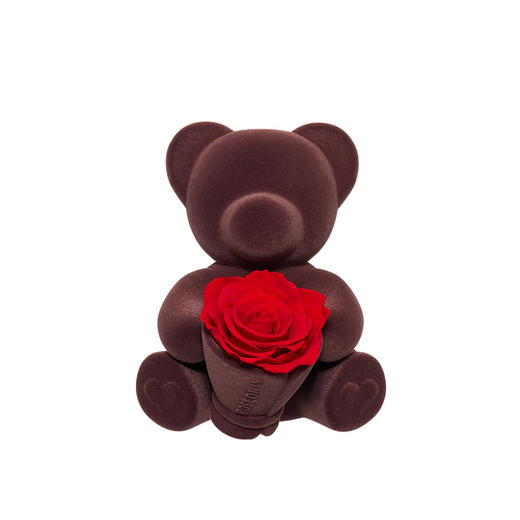 ROSEONLY诺誓 永生玫瑰 公仔系列 苏格熊 捧花版白色 Baby宝贝 送朋友 情人节礼物 商品图4