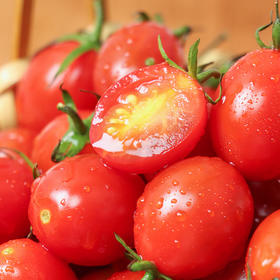 【山东好物】三色番茄  3斤  顺丰直达