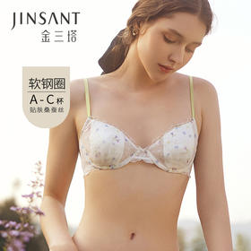 金三塔花园漫游系列法式内衣女聚拢小胸撞色蕾丝真丝薄文胸套装 NZFCB397