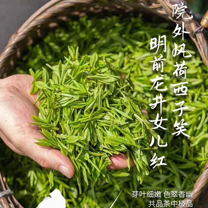 明前龙井绿茶（2026年新茶）