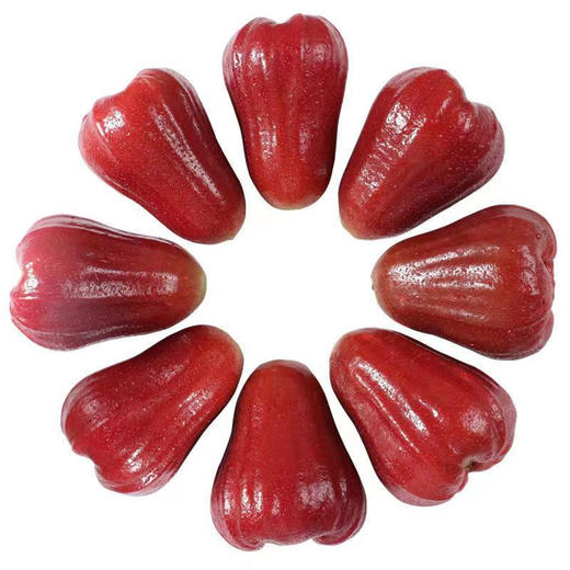 黑金刚莲雾 甜度够 汁水充足 一口咬下去，爽脆可口 商品图5