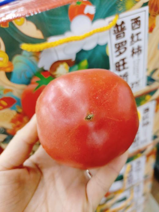 普罗旺斯柿子一箱 商品图0