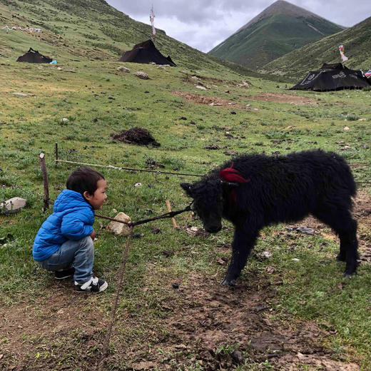 西藏手工酥油 商品图2