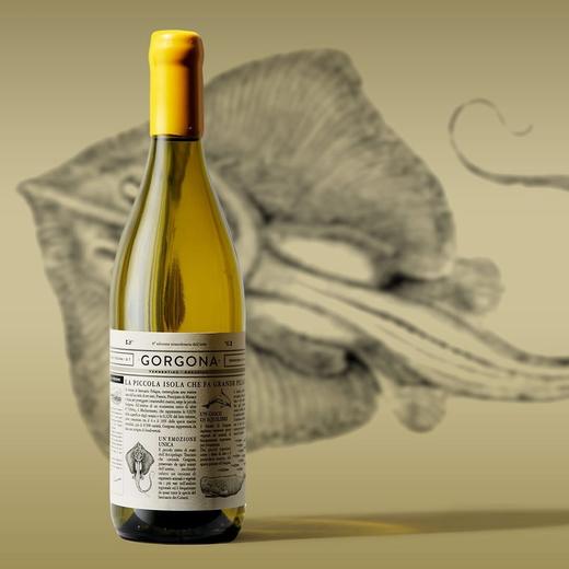 Gorgona White 戈尔贡干白葡萄酒 商品图3