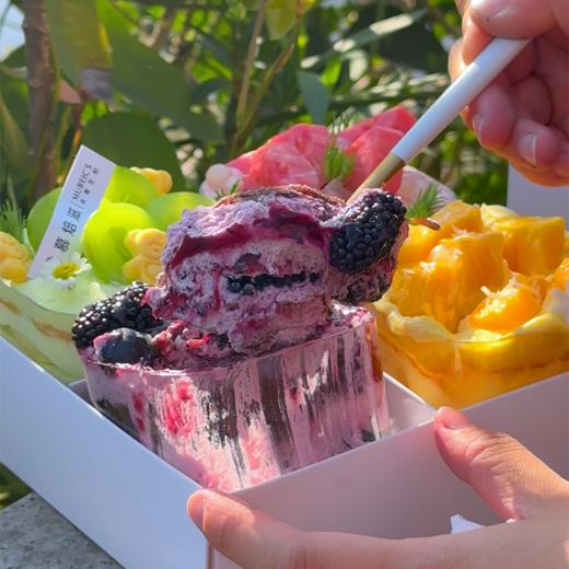 春游四拼盒子蛋糕（芭乐换草莓/桑葚换蓝莓）停用 商品图1