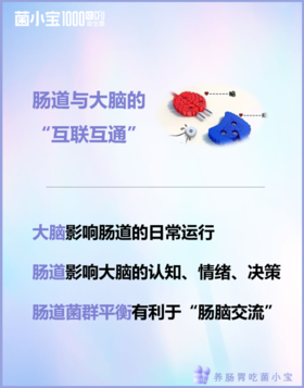 第二大脑在肠道？菌群平衡竟是情绪管理的关键密码