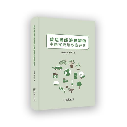 碳达峰经济政策的中国实践与效应评价 商品图0