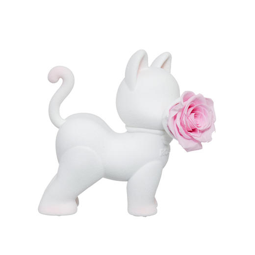 ROSEONLY诺誓 永生玫瑰 公仔系列 嘻嘻猫白蓝拾花版  Baby宝贝系列 送朋友 情人节礼物 商品图8
