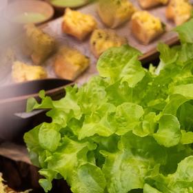 意膳坊 · 「绿色新生」主题自助餐开放预定