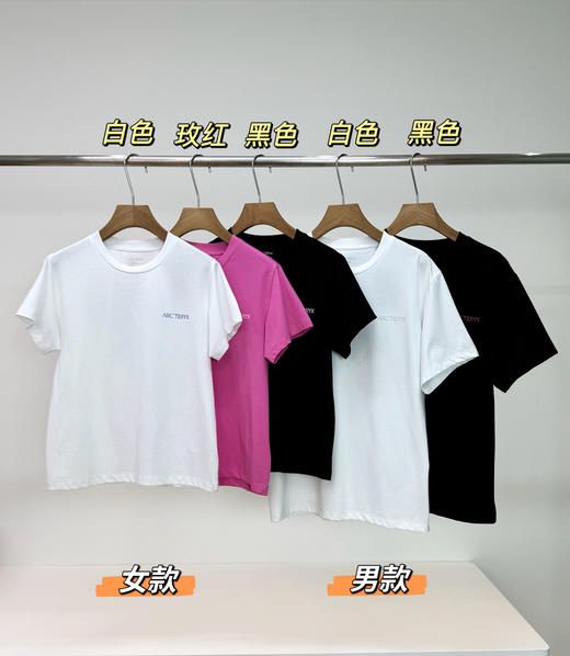 点此购买 始祖鸟夏季男女款后背印花短袖T恤 bk 313478 商品图0