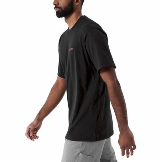 点此购买 始祖鸟夏季男女款后背印花短袖T恤 bk 313478 商品图13