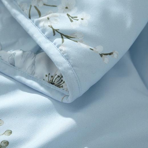 梦洁舒柔夏被-兰馨1010289017（150*200cm） 商品图2